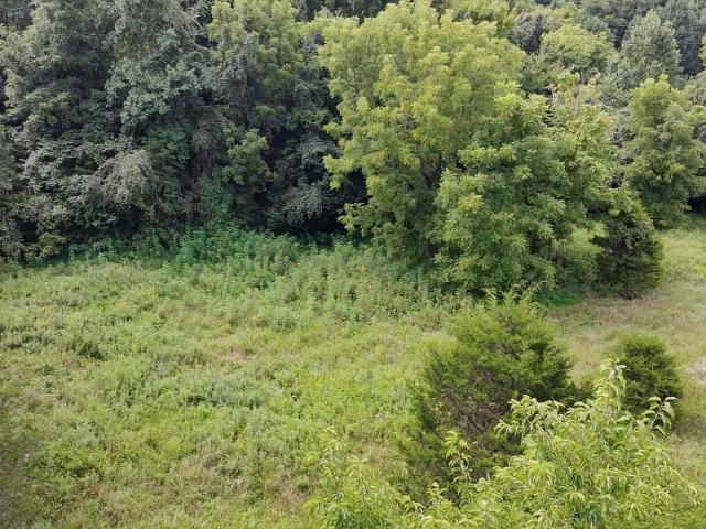 Land for sale in Tennessee