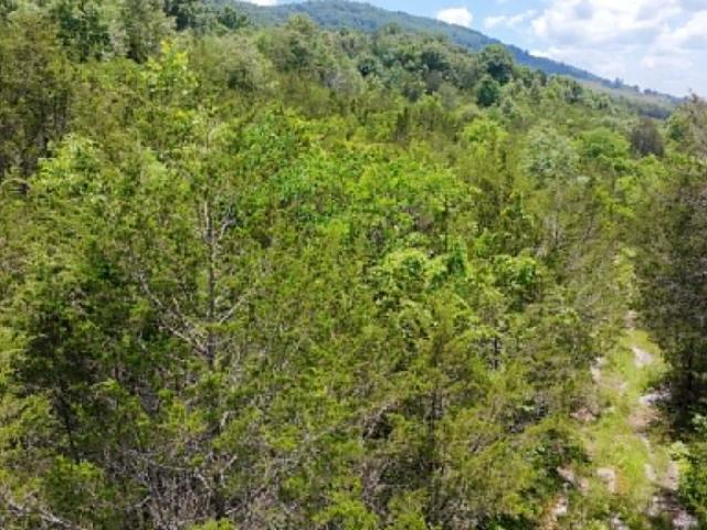 Land for sale in Tennessee