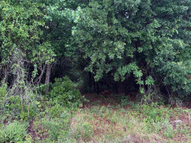 Land for sale in South Carolina