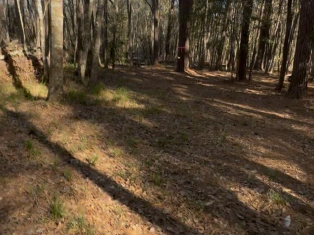 Land for sale in Shepherd, San Jacinto County