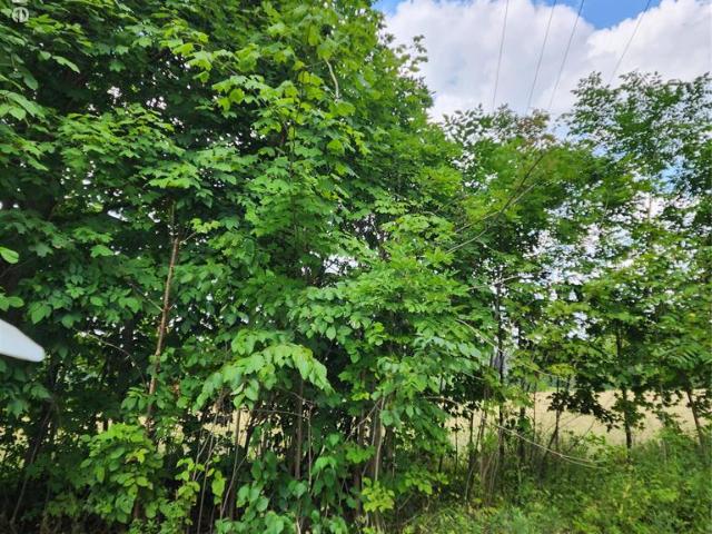 Land for sale in Howell Township, Howell