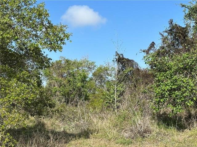 Land for sale in San Patricio, Texas
