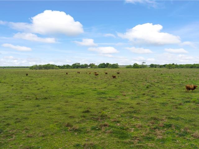 Land for sale in Kingsville, Texas