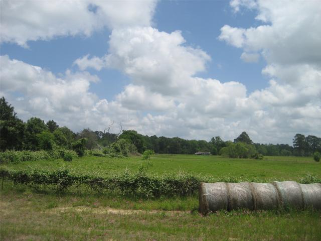 Land for sale in Grapeland, Texas