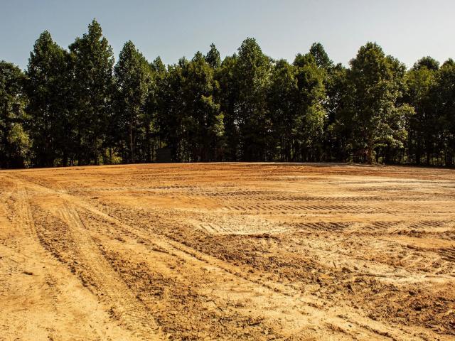 Land for sale in Hornsby, West Tennessee