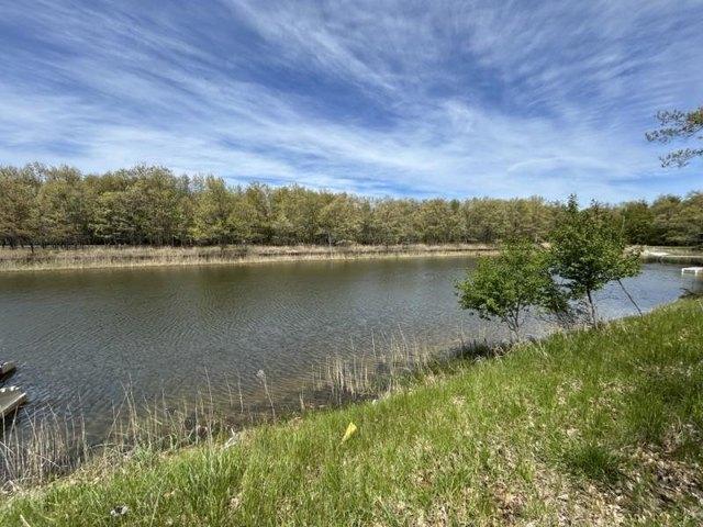 Land for sale in Pigeon, Michigan