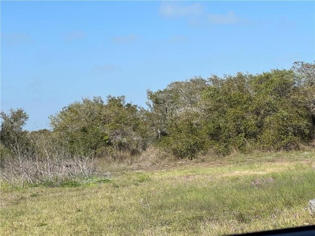 Land for sale in San Patricio, Texas