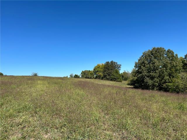 Land for sale in Western Grove, Newton County