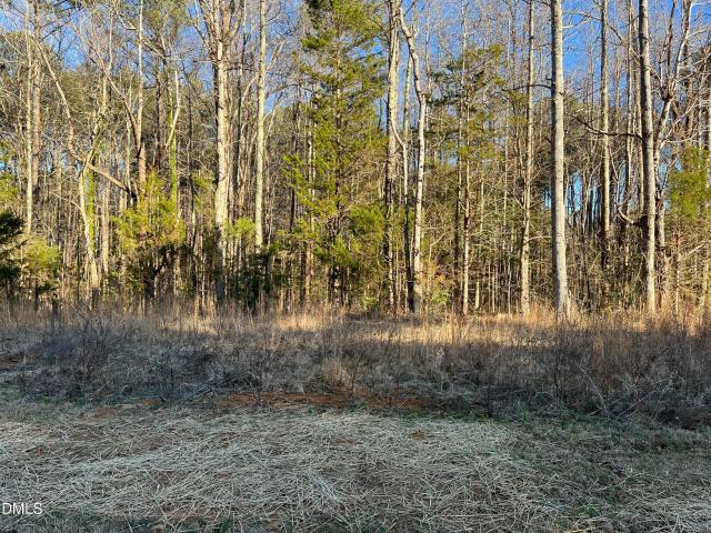Land for sale in Warrenton, North Carolina