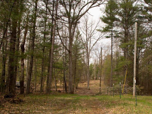 Land for sale in Michigan