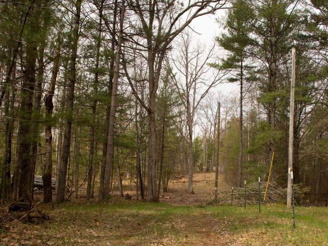 Land for sale in Michigan