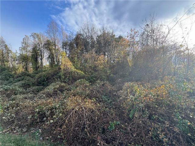 Land for sale in Reidsville, North Carolina