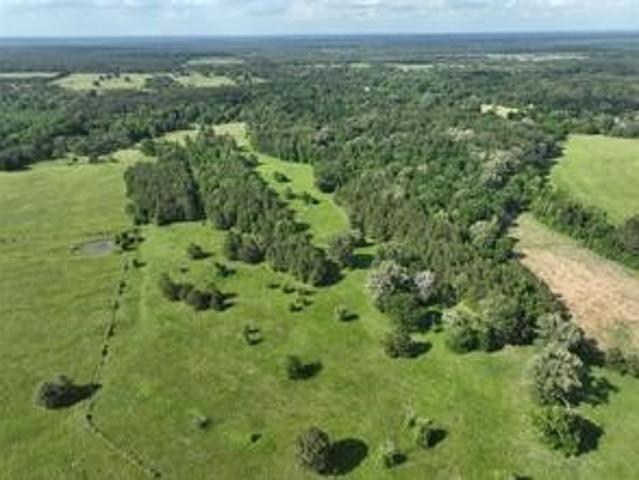 Land for sale in Center Point, Kennard