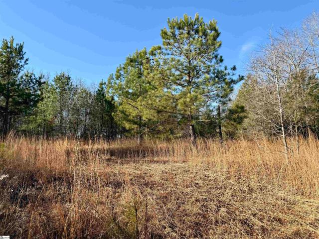 Land for sale in Laurens, South Carolina