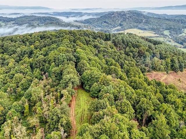 Land for sale in Laurel Springs, Alleghany County