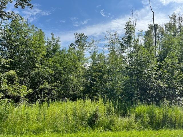Land for sale in Tawas City, Michigan