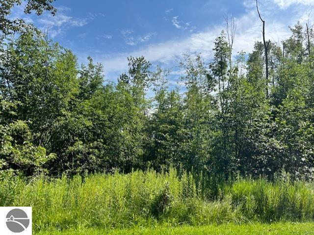 Land for sale in Tawas City, Michigan