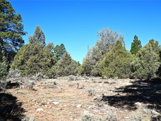 Land for sale in Los Ojos, New Mexico