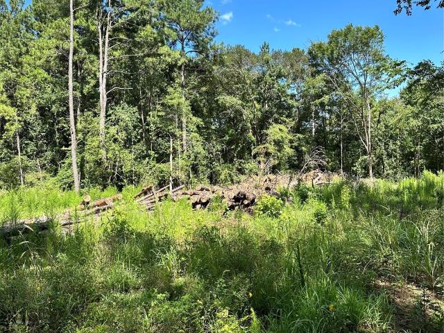 Land for sale in Milam
