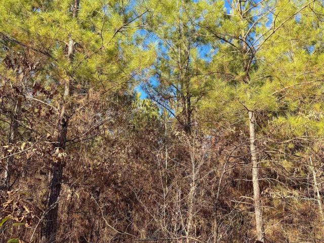 Land for sale in Ark
