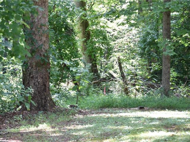 Land for sale in Elkin, North Carolina