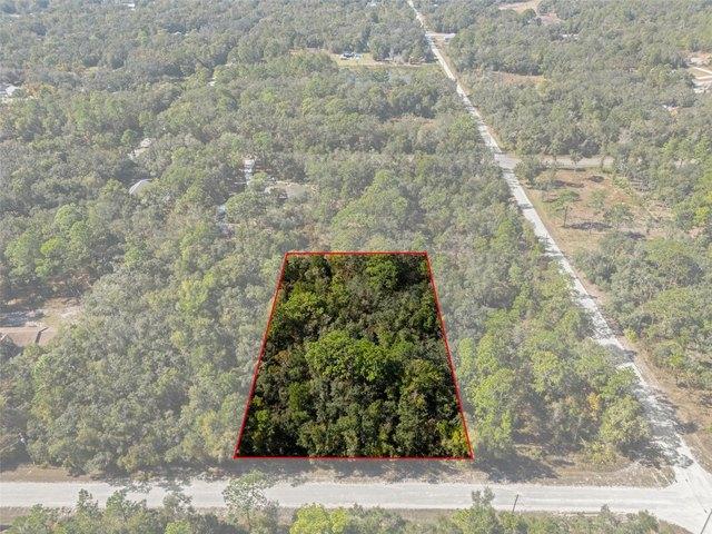 Land for sale in Webster, Florida