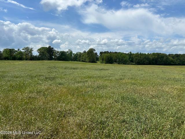 Land for sale in Bogue Chitto, Mississippi
