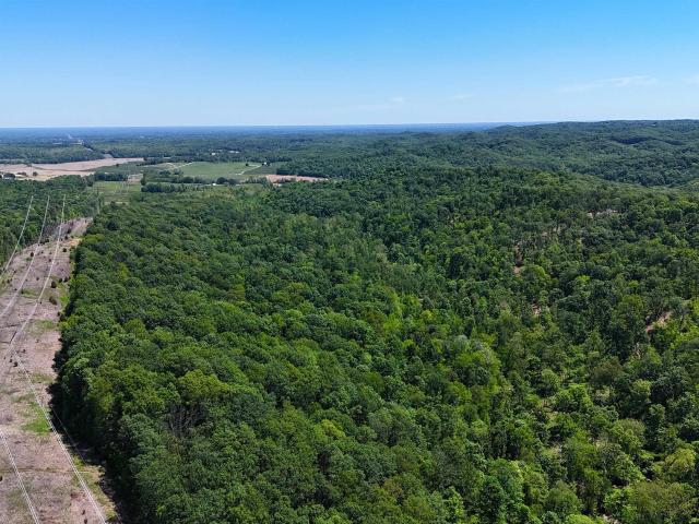 Land for sale in Scottsburg, Washington County