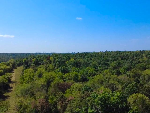 Land for sale in Cabool, Missouri