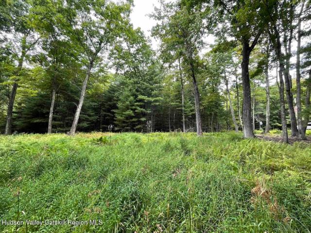 Land for sale in Greenfield Park, Town of Wawarsing