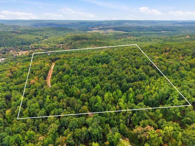 Land for sale in Clinton, Van Buren County