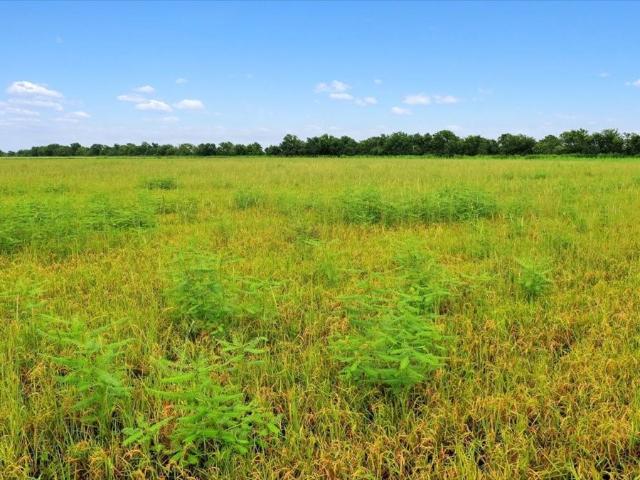 Land for sale in Altair, Texas