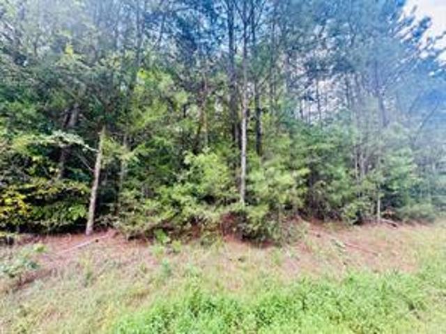 Land for sale in Abbeville, South Carolina