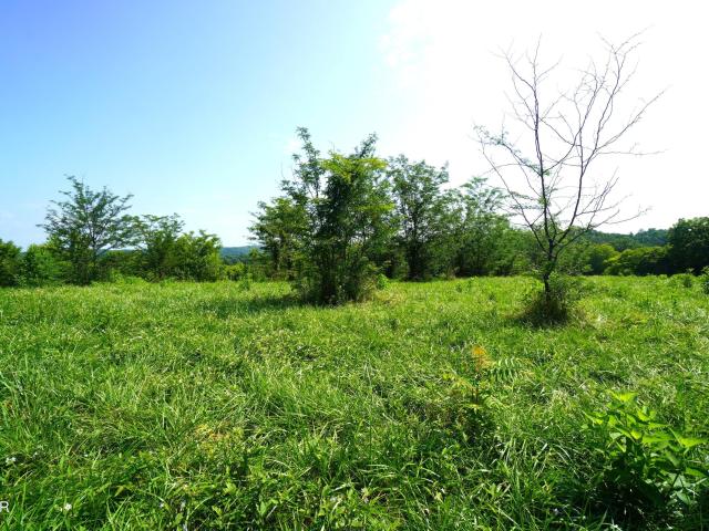 Land for sale in Tennessee