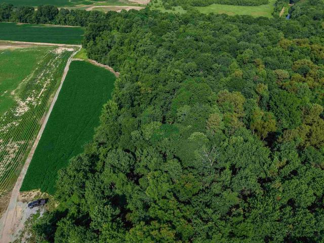 Land for sale in Tennessee