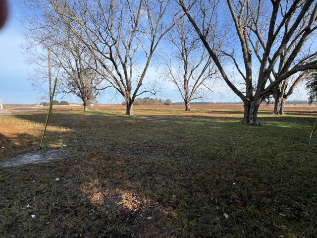 Land for sale in Elloree, South Carolina
