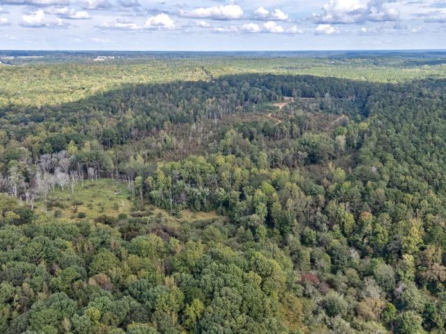 Land for sale in Oconee, Georgia