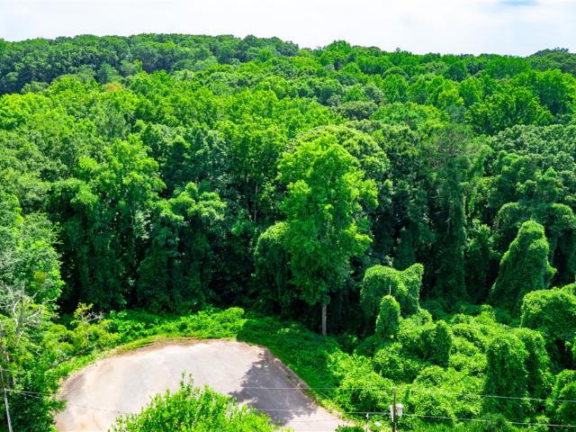 Land for sale in Norris, South Carolina