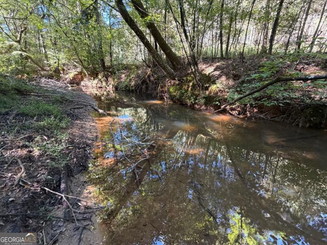 Land for sale in Franklin, Heard County