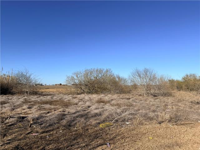 Land for sale in Bishop, Texas