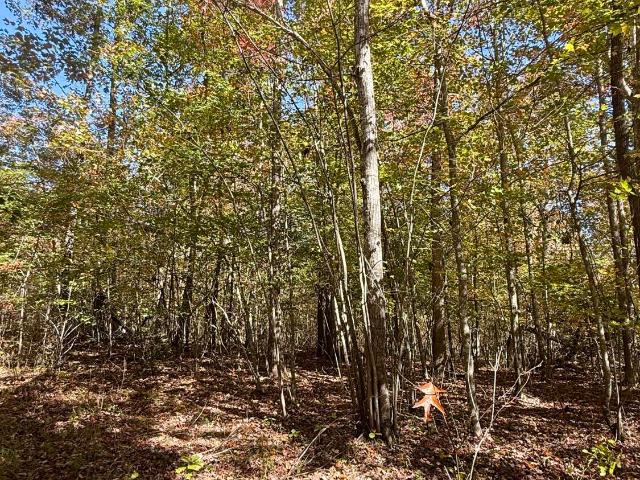 Land for sale in Tennessee