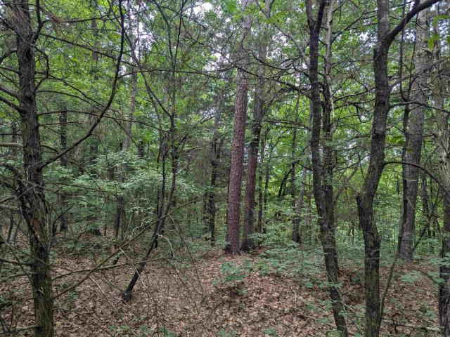 Land for sale in Ark