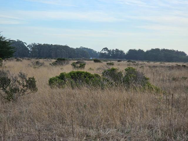 Land for sale in San Mateo, California