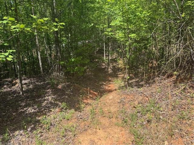 Land for sale in Wilkesboro, North Carolina