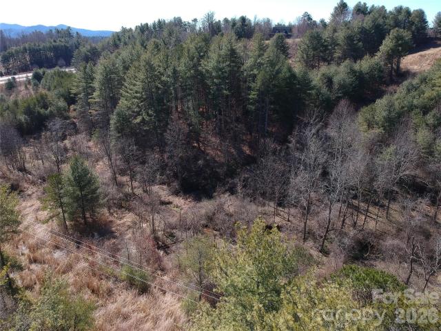 Land for sale in Mars Hill, North Carolina
