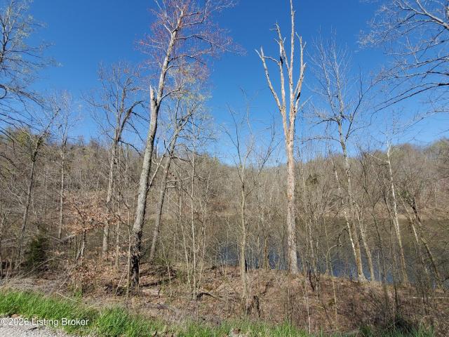 Land for sale in McCoy, Breckinridge County