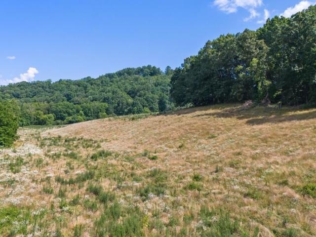 Property for sale in Franklin, North Carolina