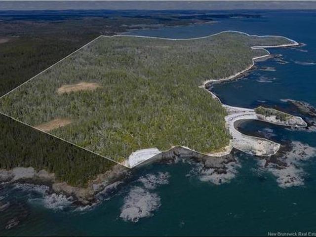 Land for sale in Charlotte, New Brunswick