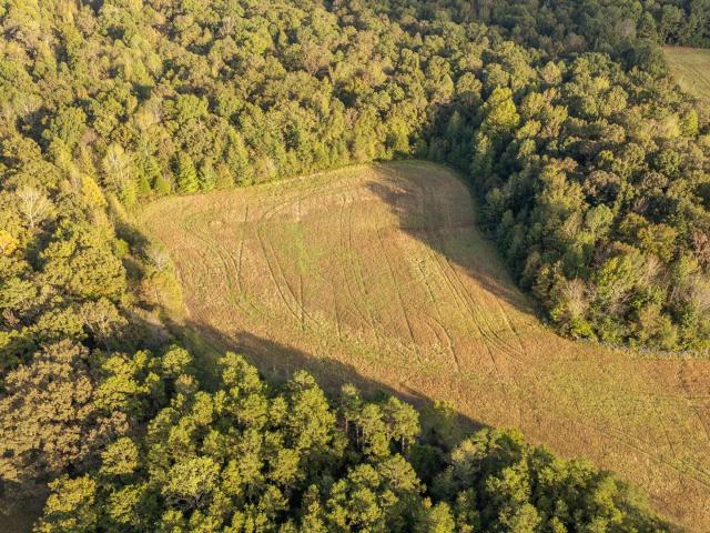 Land for sale in Tennessee