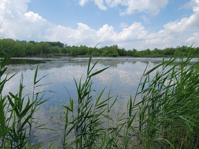 Land for sale in Bedford, Indiana